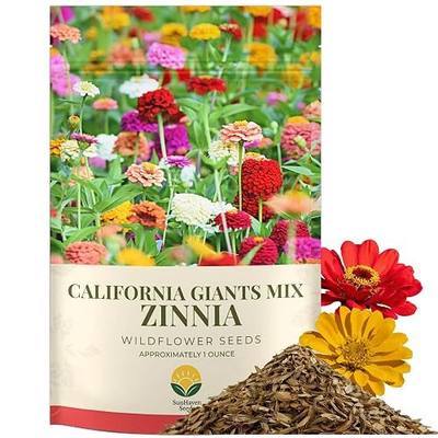 Zinnia Seeds – California Giants Mix – 4,000+ Seeds – 1 oz Bulk Extra Large Resealable Packet – Premium Heirloom Zinnia elegans Seeds with Giant Blooms in Vibrant Colors