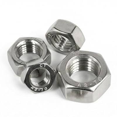 BOLDGNAITE 20pcs M6 Hex Nuts, 304 Stainless Steel Hexagon Nuts, Metric Coarse Thread, Heavy-Duty Corrosion-Resistant Stainless Steel Nuts for Machinery, Automotive, DIY & Home Projects