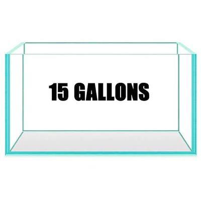 15 Gallon Rimless Aquarium Fish Tank, Ultra-Clear Nano Glass Rectangular Fish Tank L19.6"×W13"×H13.8" Thickness 6mm Glass Aquarium (L 15 Gallons)
