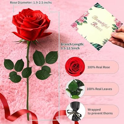 Single Forever Roses Luxury Gift for Women/Men, Birthday Gifts for Women,Flowers Gifts for Girlfriend,Wife,Mom,Anniversary,Valentine's Day,Wedding,Graduation,Presents for Her,Red