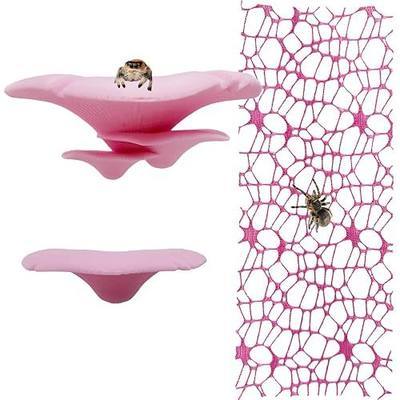 Jumping Spider Hide Habitat Accessories, Magnetic Mushroom Shelf & Moss Ribbon Web, Climbing and Feeding Platforms for Jumping Spiders, Mantises, Tarantulas, Invertebrates, 3-Pack (Pink)