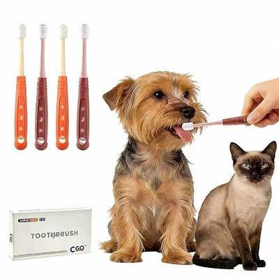 CGO 360° Silicone Pet Toothbrush for Small Dogs & Cats, 4-Pack | Extra Soft Bristles, Round Head for Gentle Dental Cleaning Great for Puppies & Kittens Oral Hygiene ( 2 Orange + 2 Brown)