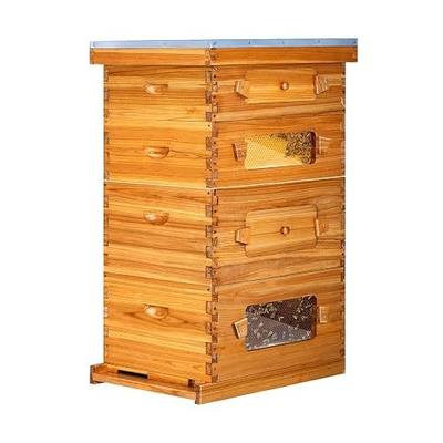 Honey Lake 10 Frame Langstroth Beehive Starter Kit with Windows - 2 Deep Brood Boxes & 2 Medium Super Boxes Dipped in Beeswax, Includes Frames & Wax Foundations
