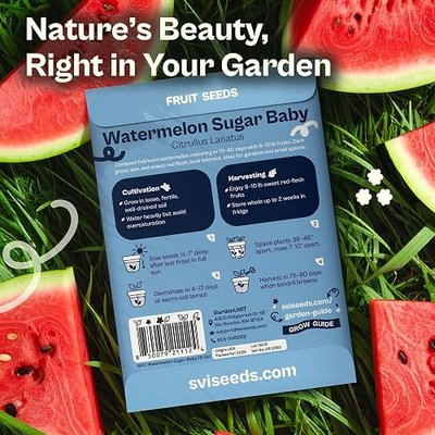 SVI 75 Sugar Baby Watermelon Seeds for Planting (Citrullus lanatus) – Sweet Watermelon, Heirloom Mini Watermelons – Fruit Seeds to Plant in Outdoor Garden & Large Containers