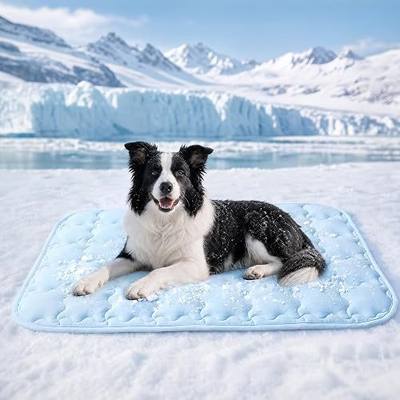 Luciphia Dog Cooling Mat, Q-MAX>0.5 Non-Slip Self-Cooling Pad for Pets | Elastic support, joint protection; Q-MAX>0.5 instant cooling needs no power; non-slip washable dog bed; Light Blue 20x30