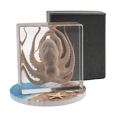 Real Octopus Taxidermy Resin Specimen, Science Educational Display | Marine Preserved Octopus Taxidermy Specimen, Unique Gift for Oddities Collectors & Biology Classroom Student Learning Decor