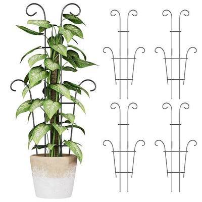 Larger 23.6in Plant Trellis for Climbing Plants Indoor Outdoor, 4 Pack Expandable Metal Trellis for Potted Plants - Sturdy Rustproof Plant Support for Pothos Ivy Hoya Monstera, Houseplant Decor