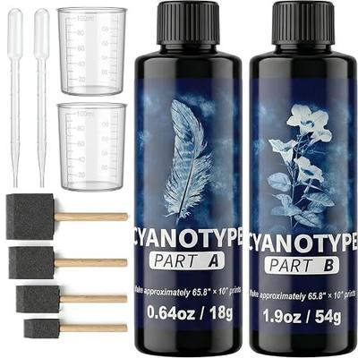 Rlcvecv Cyanotype Kit for with 8 Tools – Sunprint Kit with Chemicals & Sensitizer, Photo Printing Fabric Art Set for Beginners, Paper & Creative DIY Projects
