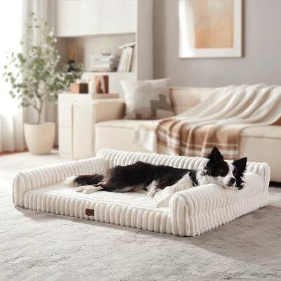 Orthopedic Dog Bed Large Pet Beds with Removable Washable Cover | Couch-Like Sofa Design for S to XXL Dogs Up to 50 lbs, with Soft Short Plush Surface & Foam, 35x25x9.5 Inch, Cream