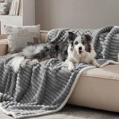 Waterproof Dog Blanket for Large Dogs, Soft Corduroy Fleece Pet Blanket Washable, Double Sided Cat Blankets for Furniture Protection, Reversible Cozy Calming Couch Blanket, 50"x60", Grey