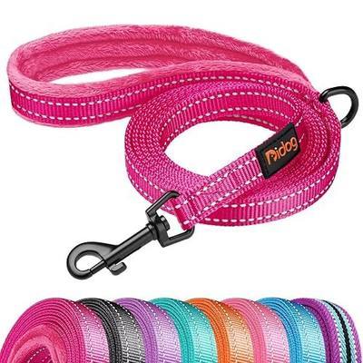 Didog 6FT Reflective Dog Leash for Small Medium Dogs, 5/8" Width, Hot Pink | Soft Padded Handle, Plush Comfort Grip, Tangle-Free, 360° Swivel Clasp for Daily Walking and Training, Night Safety
