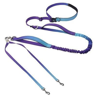 Roses&Poetry Hands Free Double Dog Leash for Two Dogs, 9-11ft Adjustable Bungee Walking Waist Lead, Dual Dog Leash with Tangle-Free Swivel for Medium Large Dogs Heavy Duty Running(Violet)