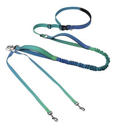 Roses&Poetry Hands Free Double Dog Leash for Two Dogs, 9-11ft Adjustable Bungee Walking Waist Lead, Dual Dog Leash with Tangle-Free Swivel for Medium Large Dogs Heavy Duty Running(Bluegreen)