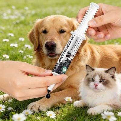 Activated Charcoal for Dogs & Cats | Dog First Aid Kit Essential | Emergency Rescue Remedy for Poisoning, Indigestion & Diarrhea | 30ml Ready-to-Use Paste (1 Tube)