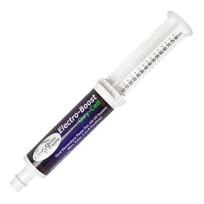 Electrolyte Paste for Horses, Hydration Support, 80ml | Oral electrolyte paste helps support hydration and fluid balance during training, travel and competition.