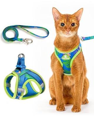 PetThem Upgraded Cat Harness and Leash Set - Step-in Escape Proof Adjustable Cat Harness, Comfortable Soft Lightweight, Reflective Harness for Walking, Travel, Camping (Hawaii Green, S)