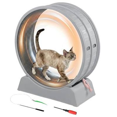 Outvita Cat Exercise Wheel for Indoor Cats, 31.5" Cat Treadmill with Detachable Carpet & Locking Mechanism, Cats Running Wheel Helps Cats to Lose Weight and Keep Health, Easy Assembled (Gray)