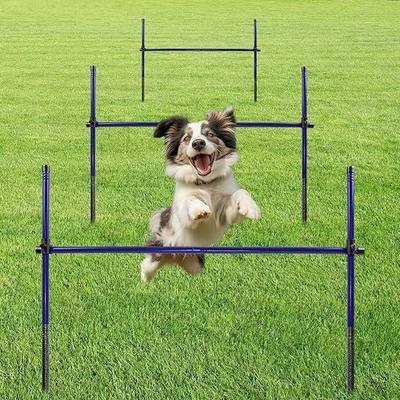 Dog Agility Course Backyard Set, Metal Dog Agility Training Equipment Adjustable Height Obstacle Course for Dog Hurdles Jumps (3 Pack)