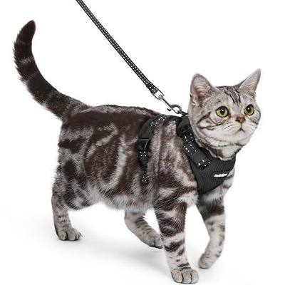 rabbitgoo Cat Harness and Leash, Easy-on with Neck Buckle, Black | Escape Proof, No Over-the-head, Soft Air Mesh, 3 Lockable Adjusters & Buckles, Reflective, for Small to Average Cats Walks, S