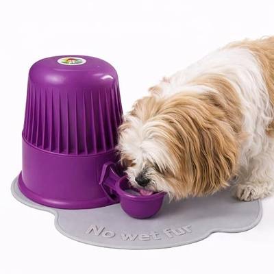 Pet Water Dispenser for Dogs and Cats, 67.6 oz – Gravity-Fed Water Bowl for Clean Drinking, Prevents Wet Fur, BPA-Free Polypropylene, (Opaque Purple)
