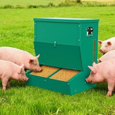 Pig Feeder, 2-Door Heavy Duty Galvanized Steel Hog Feeder,3.7 Bushels Capacity,Outdoor Pig Feeders with Visable Feed Design, Livestock Feeder for Barn, Farm, Feeding up to 5 Small Hogs, Green