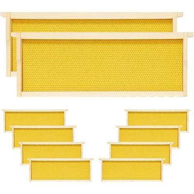 10 Pack Bee Frames Medium Unassembled, Wooden Beehive Frames with Plastic Beeswax Coated Foundations for Medium Super Box (Yellow)