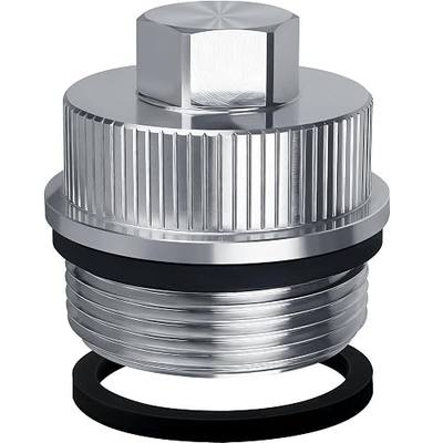 Pool Filter Drain Plug Cap 190030, Metal Pump Plug Compatible with Pentair Fns Plus Parts, Clean and Clear Plus Parts, and Quad De Filters - Pool Filter Parts Filter Drain Plug with O Ring Gasket