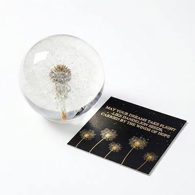 Dandelion Paperweight with Real Dandelion in Crystal Glass Ball, 2.6 Inch | Meaningful gift for women, moms, friends and teachers, ideal for home or office desks and symbolizing hope, luck and dreams