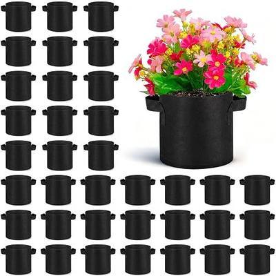 Nuanchu 36 Packs Grow Bags Bulk Aeration Fabric Pot with Handles Thickened Nonwoven Garden Bags to Healthy Root Growth Vegetables Heavy Duty Grow Pots Planting Planter for Flower Fruits (1 Gallon)