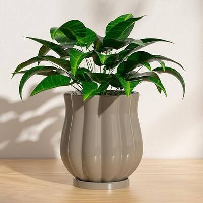 4.7" Brown Ceramic Plant Pot with Saucer | 4.7 x 4.7 x 5.4 Inches | With Drainage Hole | Suitable For Indoor and Outdoor Use | Modern Home Decor