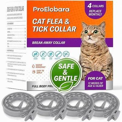 Flea Tick Prevention Collars for Cats: Essential Oil-Based Collar for 4 Month Support - Natural Fleas Ticks Breakaway Collar for Large & Small Cat, Outdoor Fleas Ticks Control for Kittens