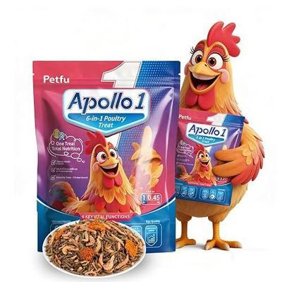 6-in-1 Poultry Treat Mix 1LBS High-Protein Mealworms, BSFL, Krill, Sunflower Seeds, Marigold Petals & Shells for Chickens & Ducks | Supports Strong Eggshells, Feather Health & Rich Yolks