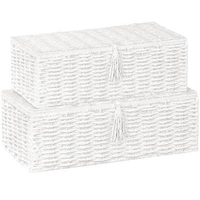 Vagusicc Wicker Shelf Baskets with Lid, Set of 2 Handwoven Wicker Storage Baskets for Shelves, Rectangular Storage Bins with Lids, Decorative Storage Boxes, Small Wicker Baskets for Organizing, White