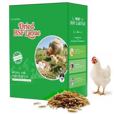 10LB Black Soldier Fly Larvae for Hens & Laying Chickens | More Calcium Than Mealworms, Natural Treat for Poultry, Bild Birds, Laying Hens, No Additives or Preservatives