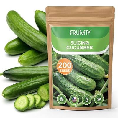 200+ Organic Heirloom Slicing Cucumber Seeds – High Yield, Disease Resistant, for Trellis, Raised Bed & Container Garden