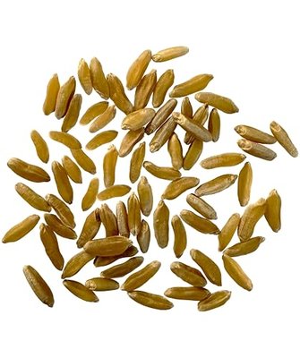 CLEAR CREEK Certified Glyphosate Residue Free Khorasan Wheat Berries | 4 lb | Non-GMO Project Verified