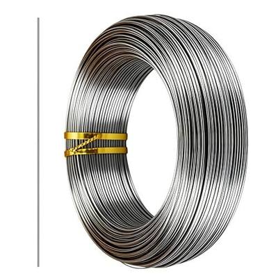 14 Gauge 304 Stainless Steel Wire 1.6mm Dia,65 Ft | Rust Proof,Light Duty For Garden Trellis,Plant Hangers,Bonsai,Sculpture,DIY Crafts,Outdoor Repair,Pliers Recommended