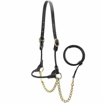 Jeffers Soft Pre-Oiled Harness Leather Show Halter for Cattle – Durable Rolled Cheeks, Noseband, 6’ Lead Rope with 24" Brass Chain & Bolt Snap, Safe Handling, Top Accessory