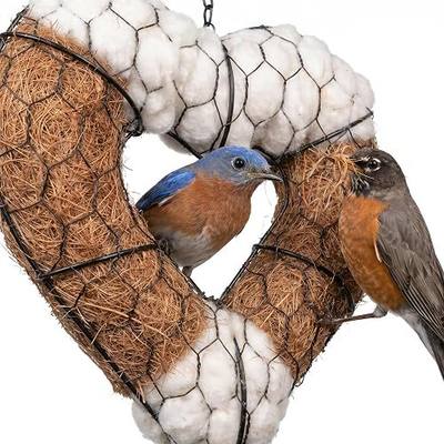 Bird Nesting Material Holder, Heart Shaped Hanging Bird Nesting Material for Wild Birds, Metal Holder with Natural Cotton & Coconut Fiber, Cottagecore Garden Decor for Bluebirds Chickadees Finches
