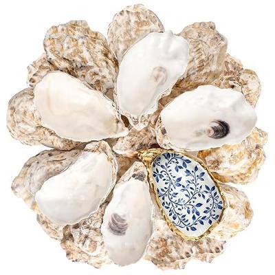 30Pcs 3-4 Inch Concave Oyster Shells for Crafts, Cleaned Natural Medium Oyster Shells for Decoupage Vase Filler Wedding DIY Decor Coastal Christmas Seashells Art