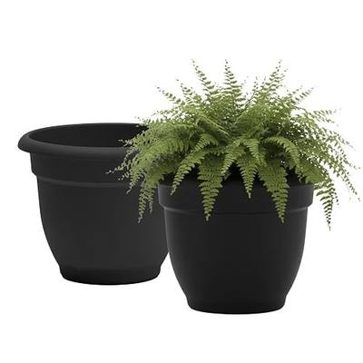 Bloem Ariana 12" Plastic Self-Watering Planter, Black, 2-Pack | Self-watering disk at the bottom of each pot that acts as a water wick and reservoir for optimal plant health