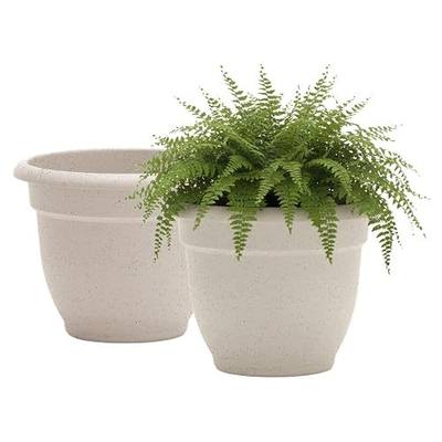 Bloem Ariana 12" Plastic Self-Watering Planter, Vanilla Bean, 2-Pack | Self-watering disk at the bottom of each pot that acts as a water wick and reservoir for optimal plant health