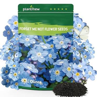 5600+ Forget Me Not Seeds for Planting, Easy to Grow Blue Forget-Me-Not Flowers, Perennial Wildflower Seeds for Ground Cover, Borders & Pollinator Gardens