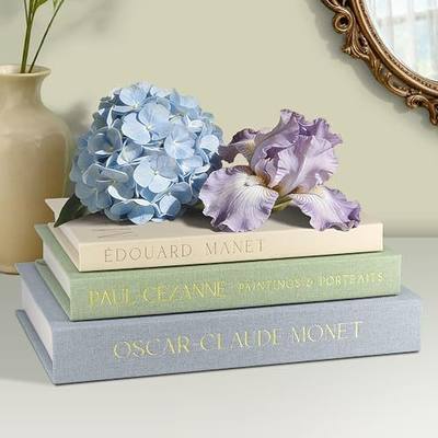 Decorative Books for Home Decor, Set of 3 Faux Books, Coffee Table Decor | Hidden Storage Book Box for Bookshelf, Mantel & Entryway, Photo & Keepsake Organization