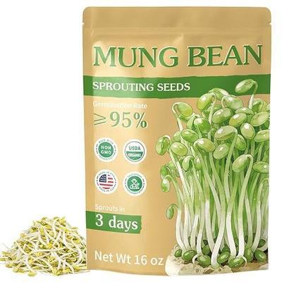 Majero 16 oz Organic Mung Bean Sprout Seeds (Vigna Radiata)- Non-GMO, Heirloom Seeds, High Yield High Germinatizon, Premium Mung Bean Sprouting Seeds for Sprouting and Microgreens, Resealable Bag
