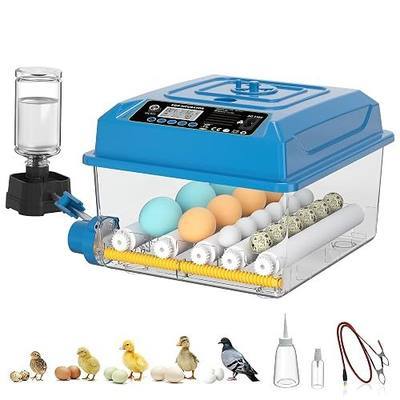 CoInceptus 16 Eggs Incubators for Hatching Eggs, Egg Incubator with Automatic Egg Turning, Chicken Egg Incubator with Humidity and Incubation Day Display, Incubator with Egg Candler for Poultry(Blue)