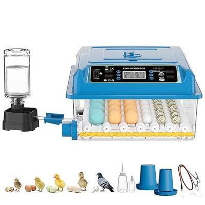 CoInceptus 36 Eggs Incubators for Hatching Eggs,Egg Incubator with 4 Auto Incubate Mode, Chicken Incubator with Humidity Display Auto Water Filling,Quail Incubator with Automatic Egg Turning(Blue)
