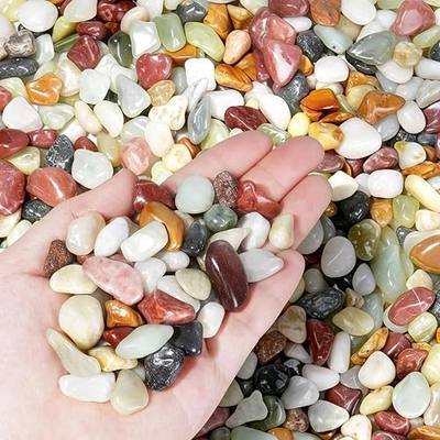 2.2 lbs Succulent Rocks,1/2 Inch Pebbles for Plants,Pebbles for Indoor Plants,Suitable for Vases, Cactus Potted Plants, Fish Tanks,Fountain