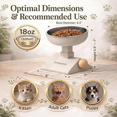 Adjustable Elevated Cat Bowl, 304 Stainless Steel Bowl, 18oz (White) | Elevated Cat Feeding Station with Adjustable Height & Angle, Food-Grade ABS Stand for Indoor Cats and Small Dogs