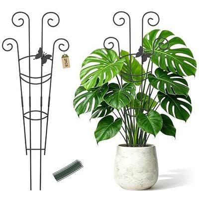 Plant Trellis 2 Pack Trellis for Potted Plants 29.96 in Trellis for Climbing Plants Indoor Plant Support Expandable Metal Monstera Plant Support for Pothos Ivy with Plant Ties